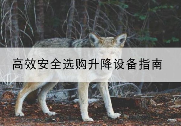 东洲升降货梯厂家推荐-*安全选购升降设备指南