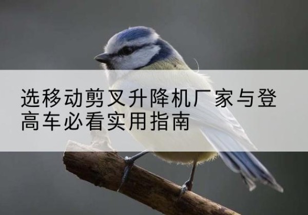 东洲电动升降机厂家-选移动剪叉升降机厂家与登高车必看实用指南