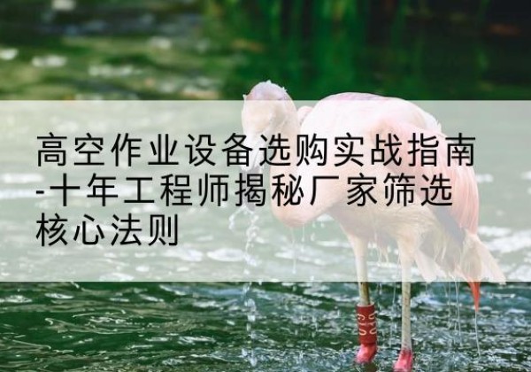 东洲剪叉式升降机厂家-高空作业设备选购实战指南-十年工程师揭秘厂家筛选核心法则